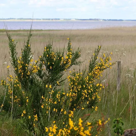 Seaside Serenity At Henne Strand-by Traum Tatil Evi *
